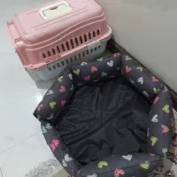 باکس سگ گربه ب همراه جایه خاب