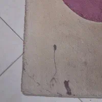 فرش اتاق خواب ۶ متری|فرش|مشهد, فلسطین|دیوار