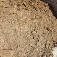 کود گوسفندی