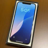 اپل iPhone 12 Pro Max مشابه نو|موبایل|مشهد, ملک‌آباد|دیوار