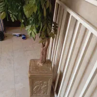 درختچه تزیینی|گل مصنوعی|فولادشهر, B7|دیوار