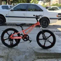 شمیم چرخ20فرفری