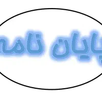 پایان نامه ( کارشناسی ، ارشد ، دکترا )