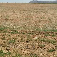 2500متر زمین|فروش زمین و ملک کلنگی|باسمنج, |دیوار