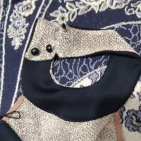 لباس مجلسی|لباس|چناران, |دیوار