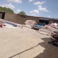 قالیشویی تک