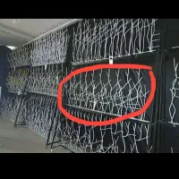 درب آکاردوونی و حفظ شاخ گوزنی
