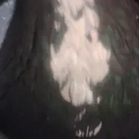 نر پلنگ اسطوره|پرنده|کرمان, |دیوار