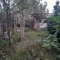 (فوری) زمین ۵۰۹متری مسکونی بر آسفالت(فوری)