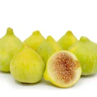 پیشفروش نهال  انجیر عسلی|خدمات باغبانی و درختکاری|ایجرود, |دیوار