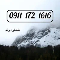0911-172-1616