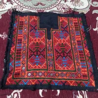 زیاستین فنوجی