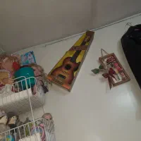 گیتار و خرس