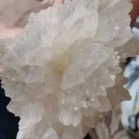 سنگ تزئینی وقیمتی