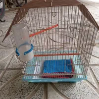 قفس پرنده