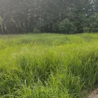 325-متر-زمین-مسکونی-زیر-قیمت-منطقه-شمالی