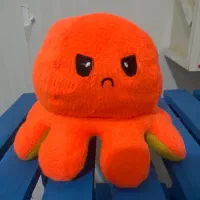 عروسک|اسباببازی|تبریز, |دیوار