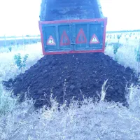 کود حیوانی کهنه|خدمات باغبانی و درختکاری|اردبیل, |دیوار