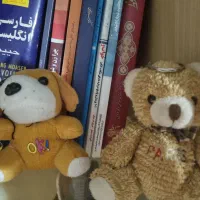 تعدادی عروسک و تخته وایت برد کودک|اسباببازی بچه|کرج, کرج نو|دیوار