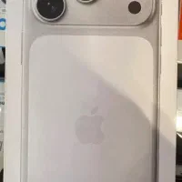 17 pro max