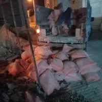 استخدام کارگر جهت بارگیری با نیسان در مصالح فروشی