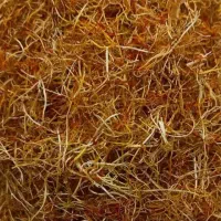 ریشه زعفران