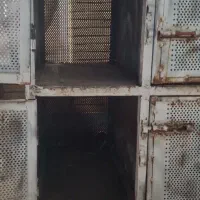 قفس کبوتر و مرغ