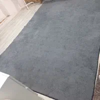 موکت پالاز