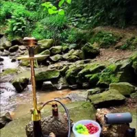 راهنمایی قلیون