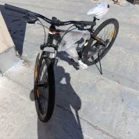 دوچرخه‌سواری آلپینا