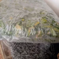 چریش کوهای تکمران سر شار ازویتامین