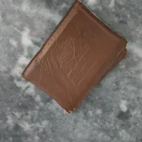 مدارک کارت ملی و گواهینامه دانیال روحیزاد گمشده