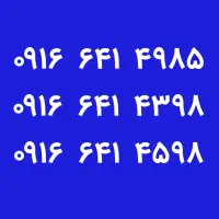 ۰۹۱۶.۶۴۱.۴۹۸۵