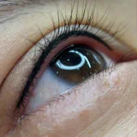 نیازمند مدل بن مژه