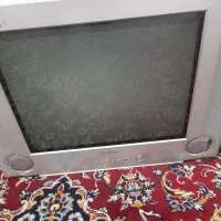 تلویزیون