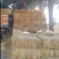 کولش یا کاه