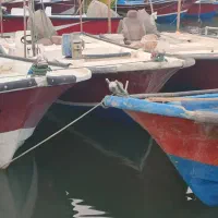 فروش گلف و موتور115یاماها با ادوات|قایق و سایر وسایل نقلیه|بندر گناوه, |دیوار