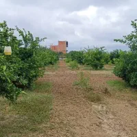 ۲۰هزار متر زمین جاده دریا گهرباران قابل ساخت ساز|فروش زمین و ملک کلنگی|طبقده, |دیوار