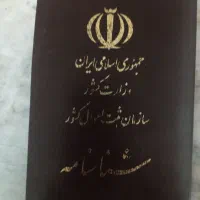 شناسنامه گم شوده به نام حامد بهمدی