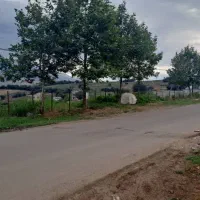 زمین با امتیاز اب وبرق|فروش زمین و ملک کلنگی|توتکابن, |دیوار