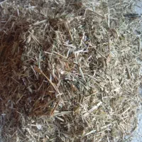 یک تن کاه وشبدر قاطی
