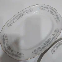 دو عدد دیس چینی حمید