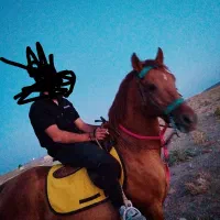 اسب نریان باتجهیزات کامل