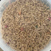 دان ویژه مرغ مینا ، کبوتر ، قناری ، مرغ عشق و طوطی|لوازم جانبی حیوانات|شهرضا, |دیوار