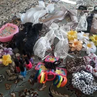 تعدادی تل و کش مو کلیپس انگشتر بچگانه