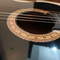 گیتار حرفه ای