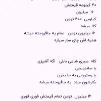 ۴۰ کیلو مایه شامی بابلی آماده بامخلفاتش کیلویی ۴۰۰|خوردنی و آشامیدنی|بابل, |دیوار