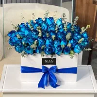 گل رز|گل و گیاه طبیعی|اصفهان, شاهزید|دیوار