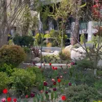 باغ فردوس ۲۵۰متر بر ۱۰جنوبی ۱۲۵میلیارد فروش