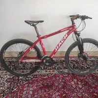 دوچرخه حرفه ای